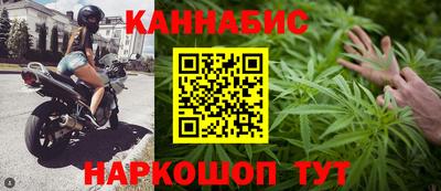 стаф Будённовск
