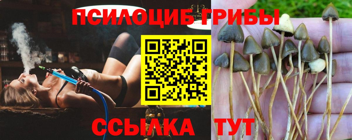 ГАШИШ  Бошки Шишки  Меф   Экстази  Углич  Вход с VPN 